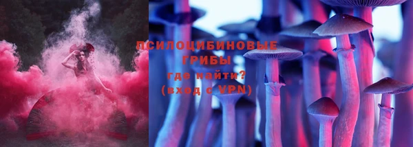 прущие грибы Вяземский