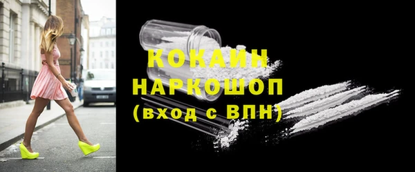 прущие грибы Вяземский