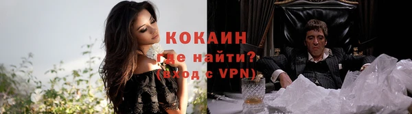 прущие грибы Вяземский