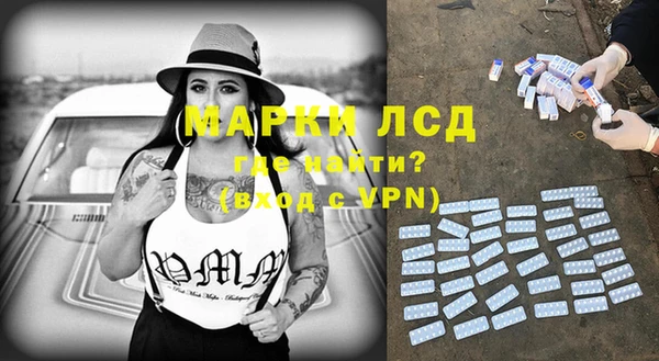 ПСИЛОЦИБИНОВЫЕ ГРИБЫ Вязьма