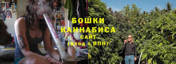 прущие грибы Вяземский