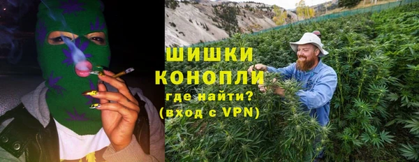 прущие грибы Вяземский