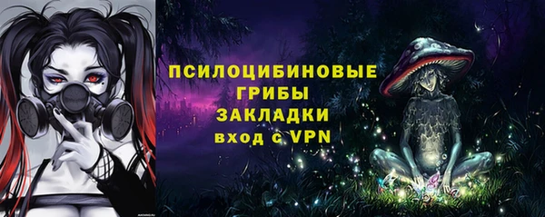 прущие грибы Вяземский