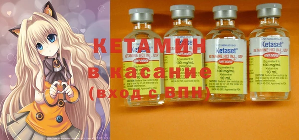 прущие грибы Вяземский