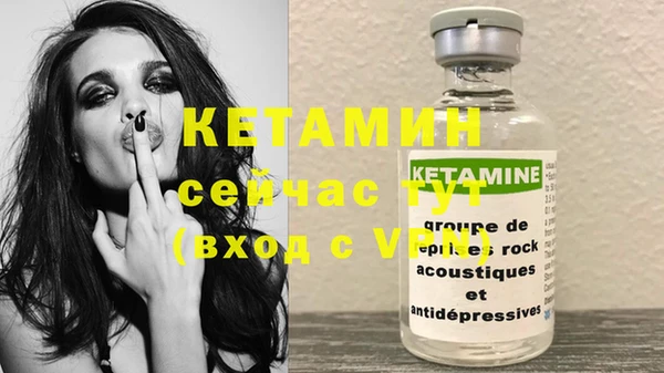 прущие грибы Вяземский