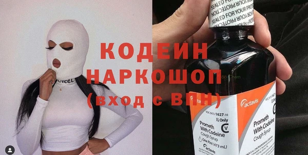 прущие грибы Вяземский