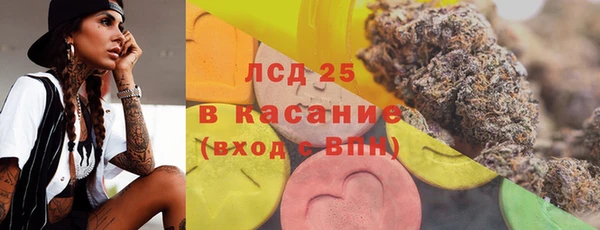 ПСИЛОЦИБИНОВЫЕ ГРИБЫ Вязьма