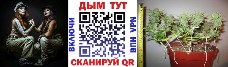 Канабис MAZAR  наркота  Нефтеюганск 